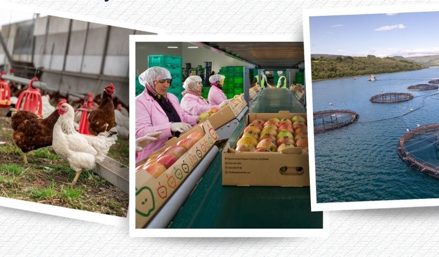 Kırsala 30 milyon avroluk destek