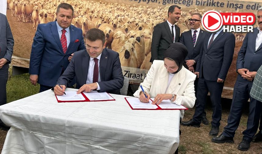 Niğde'de Küçükbaş Hayvancılıkta Tarihi Adım