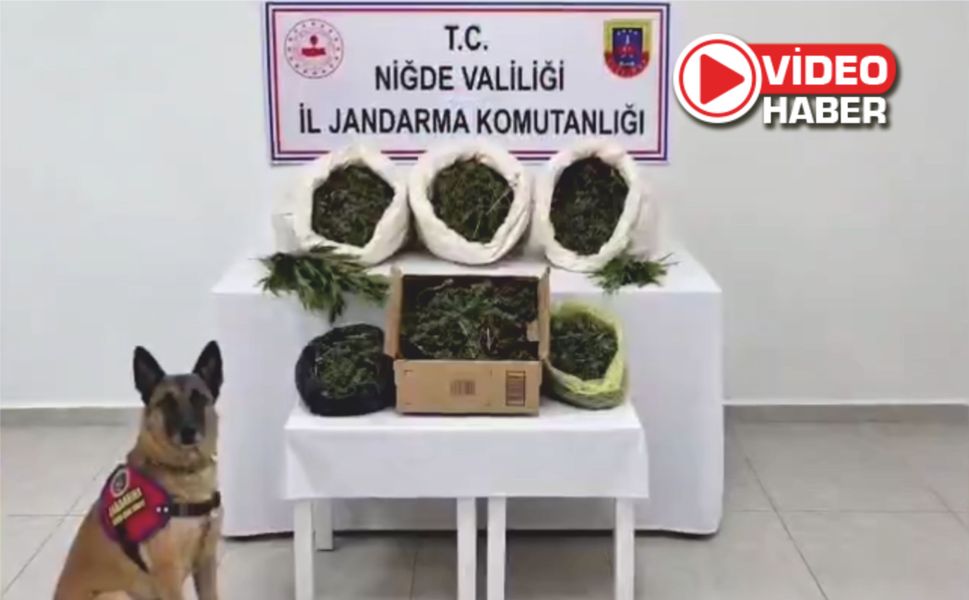 32 ilde dev operasyon! Yüzlerce şüpheli yakalandı