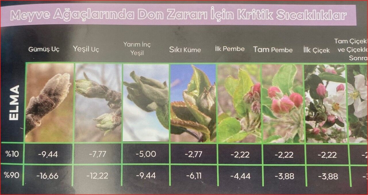 14232Resim2.jpg