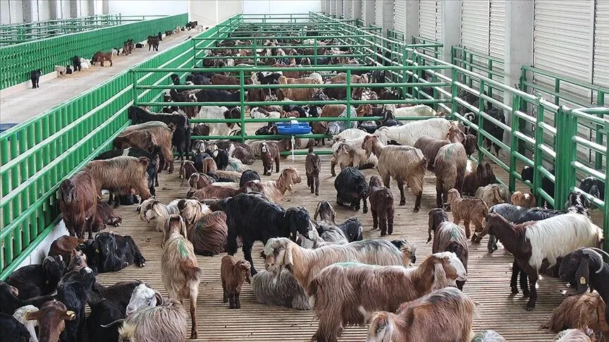 Çiftçiler ve yatırımcılar için yeni dönem