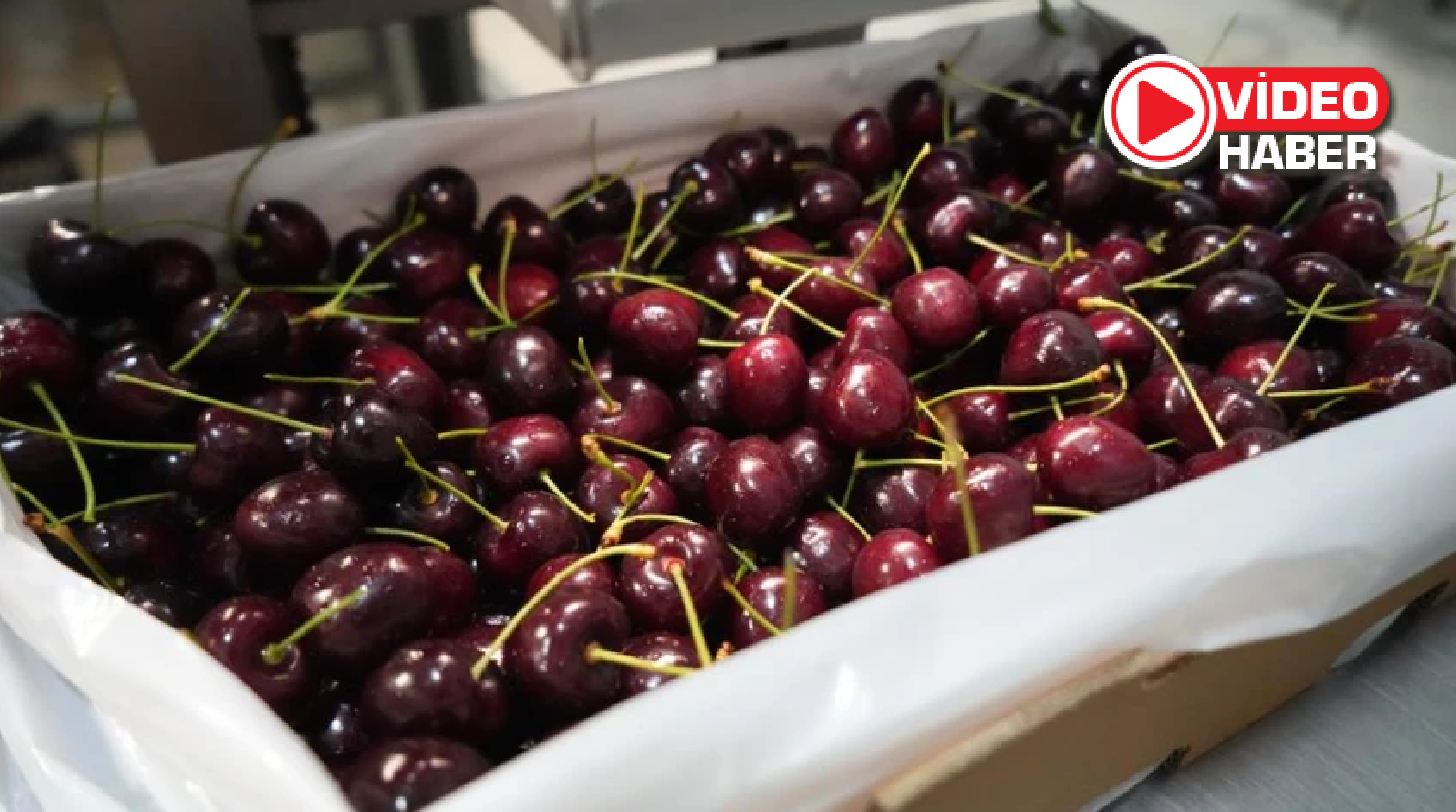 Niğde kirazı dünya pazarlarında ihracat rekoruna koşuyor