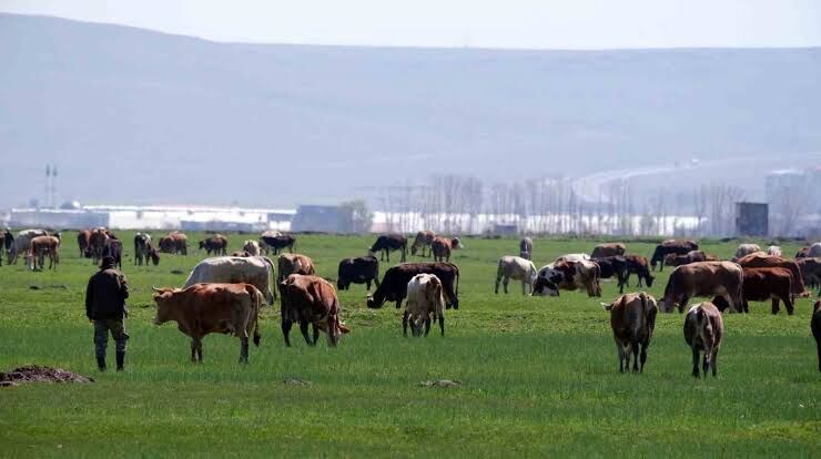 Tarımsal üretimde destek tutarları artırıldı