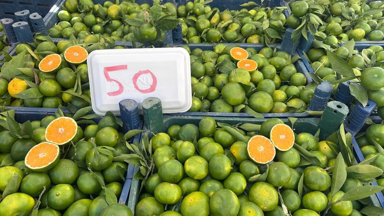 Mandalina Niğde’de satışa çıktı
