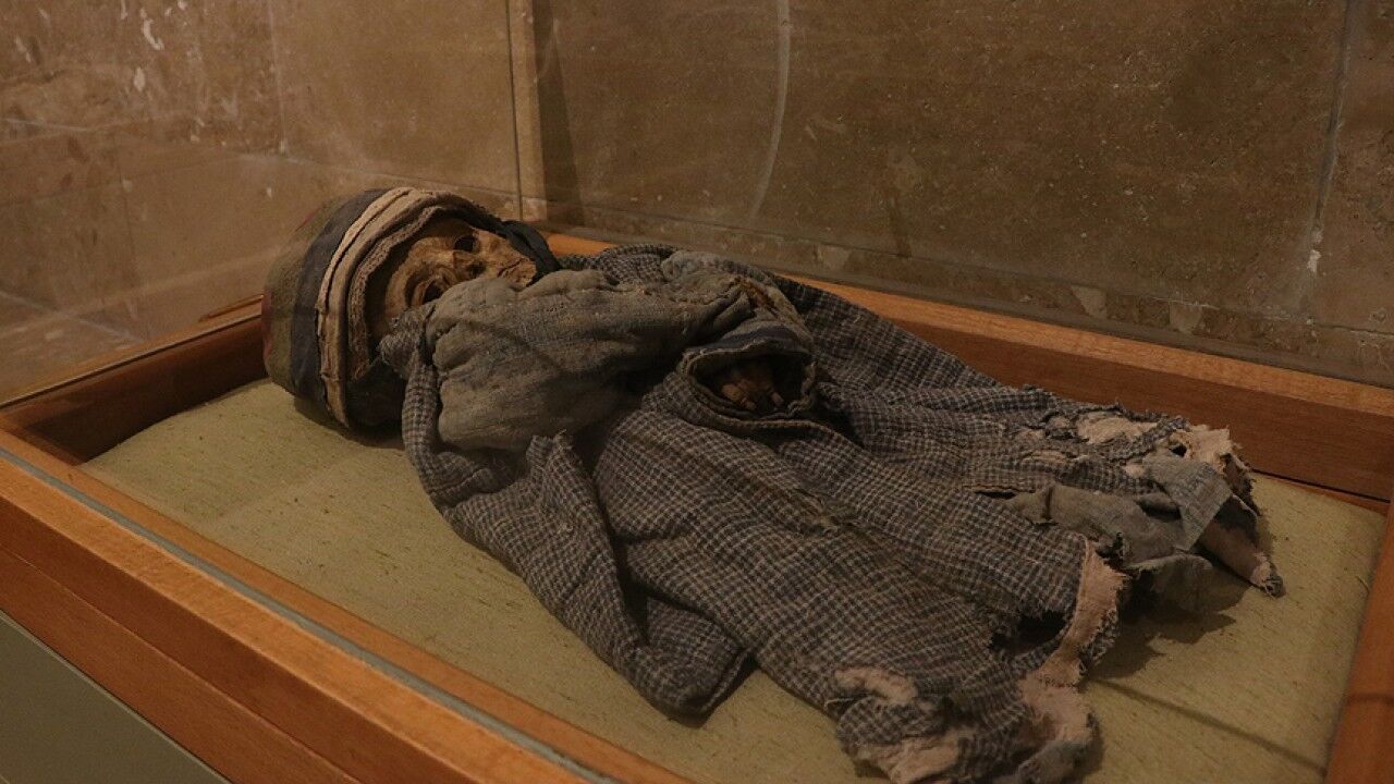 2091mumya5.jpg