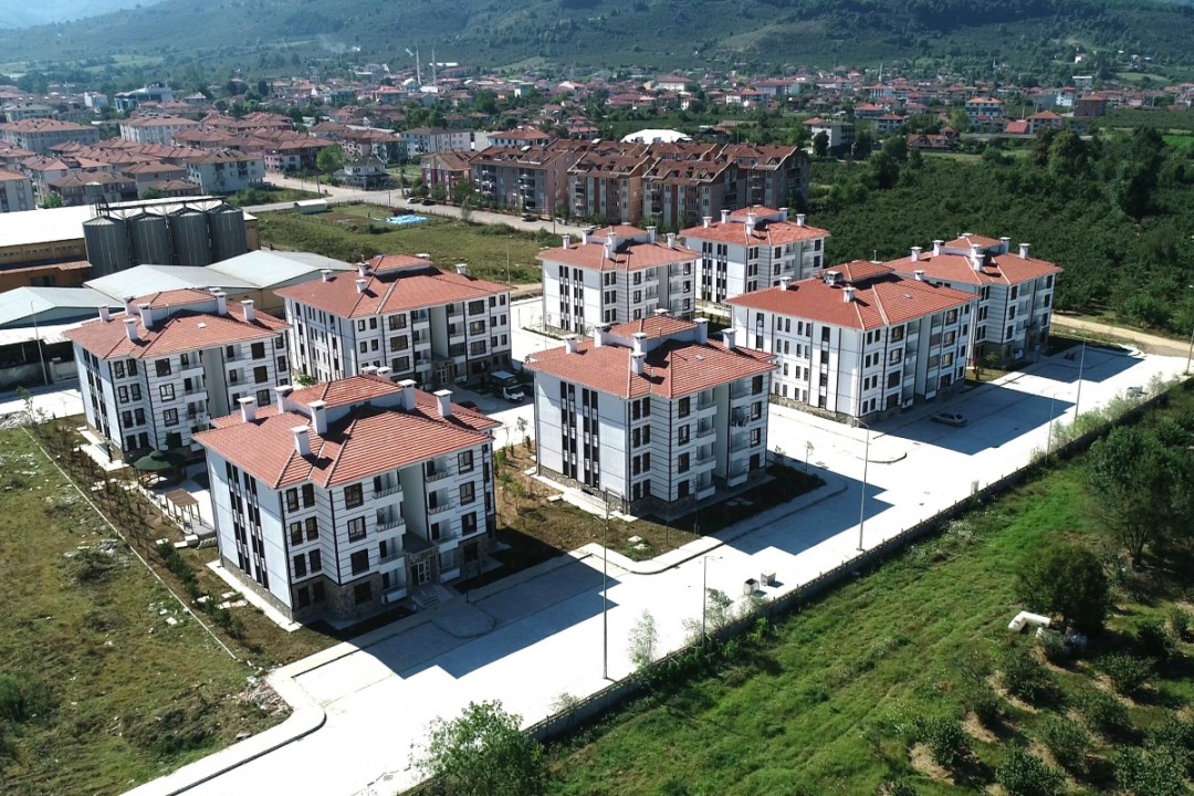 4521650.jpg