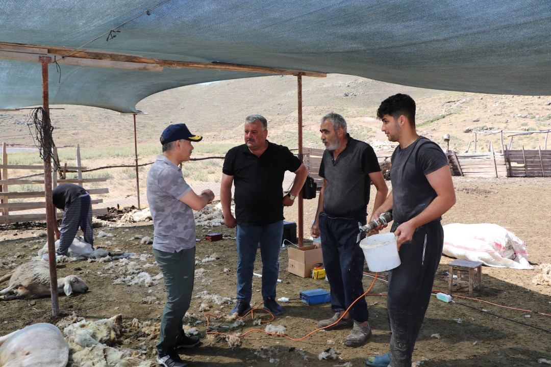 AA-20240627-34988260-34988255-NIGDE_VALISI_CELIK_VATANDASLARLA_KOYUN_KIRKTI.jpg