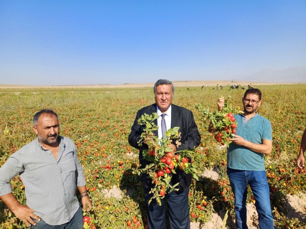 Fotoğraf 1.jpg