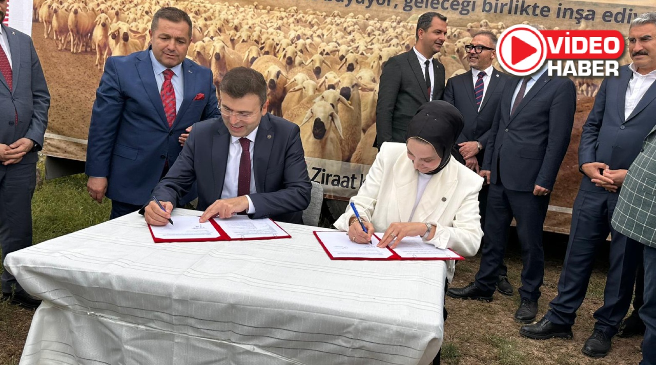 Niğde'de Küçükbaş Hayvancılıkta Tarihi Adım